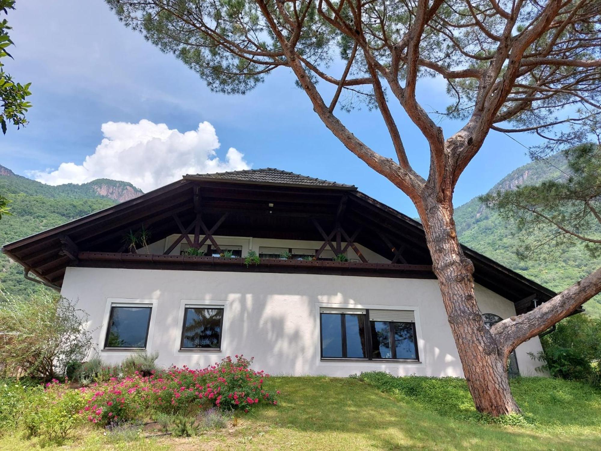 Villa Pinie Apt 1 텔라노 외부 사진